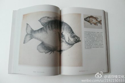 鼮չ֮͡
